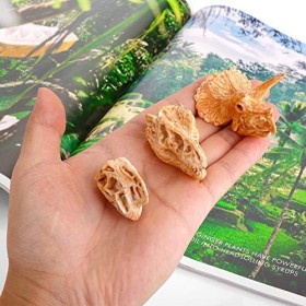 cobee Mini Squelette de Tête de Dinosaure, 11PCS Dino Bones Playset Figurines Fossil de Dinosaure pour Sandbox Dino Tête Figu