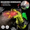 TOEY PLAY T-Rex Dinosaure Figurine Jouet avec Pulvérisation deau, Marche, Lumières et Sons, Cadeaux pour Enfant Garçons Fill
