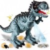 TOEY PLAY 49CM Grand Dinosaure Figurine Jouet pour Enfants, Marche Dinosaure Electrique avec Oeufs, Lumières et Sons, Project