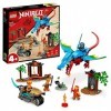 LEGO 71759 Ninjago Le Temple du Dragon Ninja, Ensemble de Jouet et de Figurine avec Moto, Comprend la Figurine NYA pour Proté