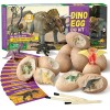 Byncceh Oeufs de Dinosaure Kit de Fouille 12 Pièces Jouet Darchéologie Fête de Pâques STEM Jouets éducatifs pour 6 Ans Garço