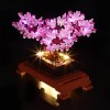 BRIKSMAX Kit d’éclairage à LED pour Lego Creator Bonsai Tree- Compatible avec Lego 10281 Blocs de Construction Modèle- Pas in