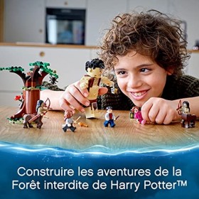LEGO 75967 Harry Potter La Forêt Interdite : la Rencontre dOmbrage, Ensemble de Construction avec Giant Grawp et 2 Figurines