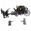 LEGO 75951 Harry Potter TM Lévasion de Grindelwald