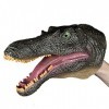 rugissez dans laventure avec des marionnettes à main dinosaures réalistes – T-Rex, Dilophosaure, Segnosaure