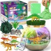 Cadeaux Dinosaures pour garçons - Kit de Terrarium Dinosaure pour Enfants - Cadeau danniversaire pour garçons âgés de 4 5 6 