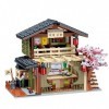Etarnfly Bloc de construction japonais - Pour restaurant - Idéas Japonais - Fleurs de cerisier - Cadeau pour fille et garçon 