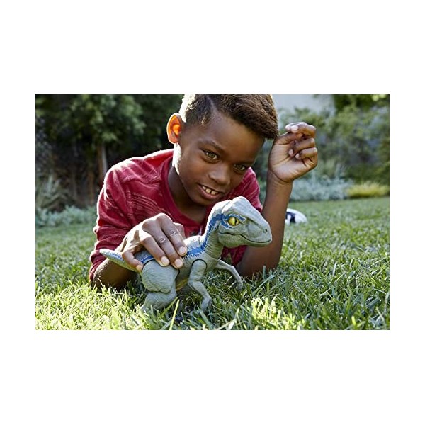 Jurassic World Figurine Dinosaure Articulé Bébé Vélociraptor Bleu, Jouet pour Enfant, GFD40