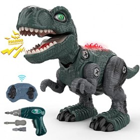 Dinosaure Télécommandé, Enfant Jouet Animaux Téléguidé, RC Démonter Electrique Robot Dragon avec Marche Rugissement Fonction 