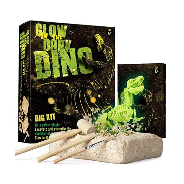 Dr. Daz - Dinosaur T-Rex Fluorescents Kit de Fouille pour Enfants-Excaver et Assembler 16 Fossiles de Dino-Jouets Educatifs p