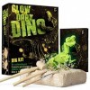 Dr. Daz - Dinosaur T-Rex Fluorescents Kit de Fouille pour Enfants-Excaver et Assembler 16 Fossiles de Dino-Jouets Educatifs p