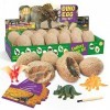 Dr. Daz, Kit de Fouilles de Dinosaures - Kit dExcavation dŒufs de Dinosaure - Cadeau Scientifique et Jouets et Jeu pour Gar