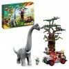 LEGO 76960 Jurassic Park La Découverte du Brachiosaure, Jouet de Dinosaure avec Grande Figurine Dino et Voiture Jeep Wrangler