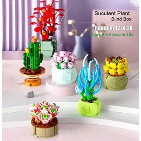 Figurines succulentes - Jouets de collection - Blocs de construction aléatoires - Cadeaux pour enfants, amis, famille - Pour 