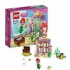 Lego - A1401528 - Les Trésors Secrets Dariel - Princesses
