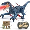 Mini Tudou Télécommande Jouets Dinosaures pour Garçons 3 4 5 6 7 8 Ans,2.4Ghz Réaliste Jouets pour Dinosaures avec lumière & 