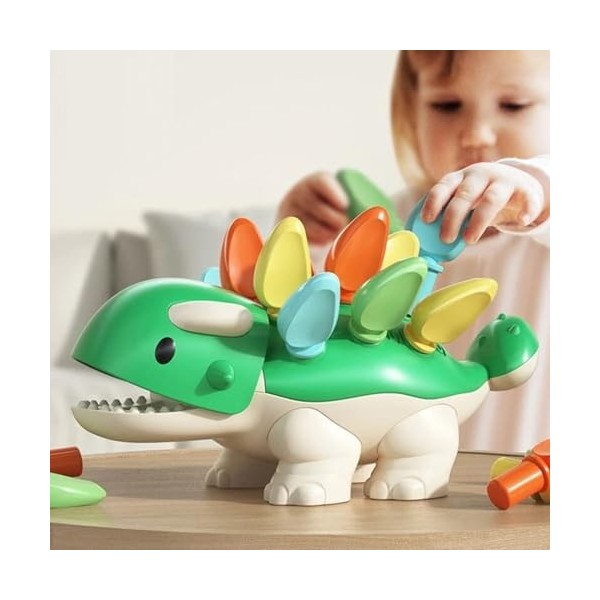Jouet Bebe 1 2 Ans, Puzzle Enfant en Bois Montessori Jeux, Jeu Educatif  Couleur Classification Dinosaure et œufs Jouet, Interactif Apprentissage  Toy