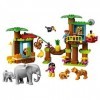 LEGO Duplo 10906 L’île Tropicale - Jeu éducatifs daventure pour Les Enfants de 2 à 5 Ans avec 6 Figurines danimaux