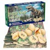 Oeufs de Dinosaure Kit Fouille 12 Pack,Dinosaure Jouet Enfant,Jurassic Dinosaur Eggs Creusez découvrez des Kits 3 à12 ans Gar