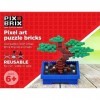 Pix Brix Pixel Art Brix Brix Boîte de 6 000 pièces Pixels, Palette Moyenne de 12 Couleurs Briques de Construction emboîtables