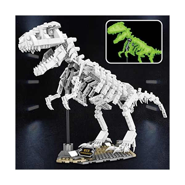 Dinosaure Jouet Enfant 3 4 5 6 Ans, Marche Dinosaures Electrique avec  Lumière et Son, T-Rex Figurine Dino, Éducatif Cadeau pour