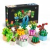 AOUNTRON Lot de 12 ensembles de construction pour plantes grasses, décoration de bureau, modèle bonsaï en briques, cadeaux à 