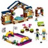 LEGO Friends Snow Resort Ice Rink 41322 Building Kit