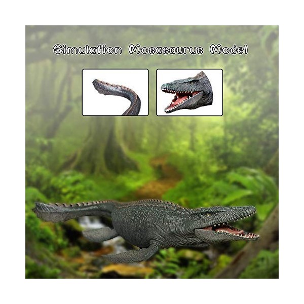 Jouet pour Cosy Modèle Grand Jeu modèle ressemblant à Un modèle Mosasaurus Modèle réaliste Figure réaliste éducation des Dino