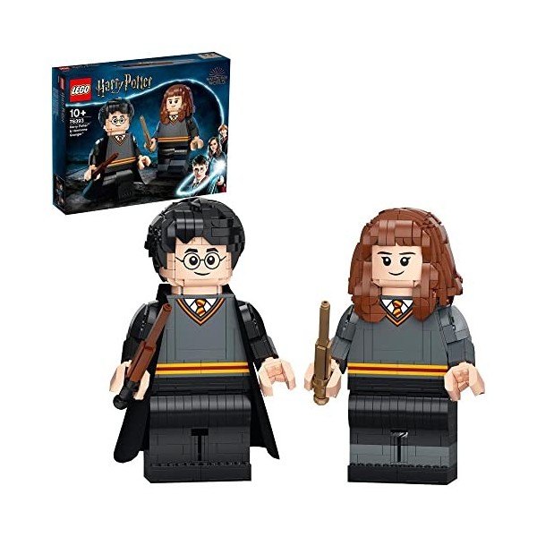 LEGO® Harry Potter™ 76393 Harry Potter™ et Hermione Granger™