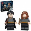 LEGO® Harry Potter™ 76393 Harry Potter™ et Hermione Granger™