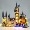 SEEMEY Kit déclairage, LED pour Lego Harry Potter Château de Poudlard 71043. Accessoires MOC Block, visuel Impressionnant. 