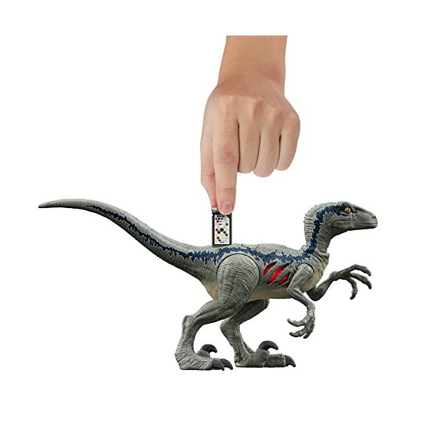 Jurassic World Coffret Poursuite Owen et Vélociraptor Blue, 3 figurines articulées, figurines authentiques à collectionner, j