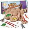 Trasdeo Dinosaure Jouet Enfant 4 5 6 7 8 9 Ans, Oeuf Dinosaure Jeux Enfant 4-9 Ans Dinosaure Cadeau Garcon 4-9 Ans Jouet Enfa