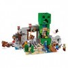 LEGO- Jouet, 21155, Multicolore