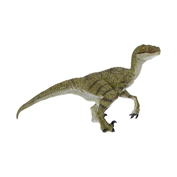 Papo - 55058 - Figurine - Dinosaure - Vélociraptor