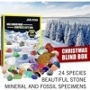 DLDER Calendrier de lAvent 2022 Rocks, 24 jours en cristal naturel, agate, minéraux et fossiles, calendrier de lAvent en cr