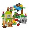 LEGO DUPLO Town 10804: Jungle Mixed by LEGO