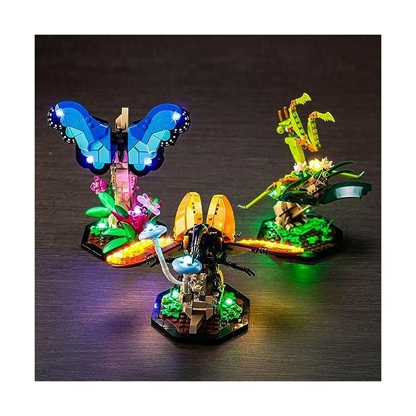 Lego Ideas The Insect Collection Kit déclairage LED pour Lego Ideas 21342 Ideas The Insect Collection – Modèles non inclus, 