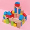 Hape Jouet en Bois Construction Enfant 12 mois et plus - Blocs de Construction en Érable Multicolore 50 Pièces - Fille et Gar