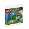 LEGO Minecraft 30393 Steve and Creeper Polybag Set Sac fourré Jouet