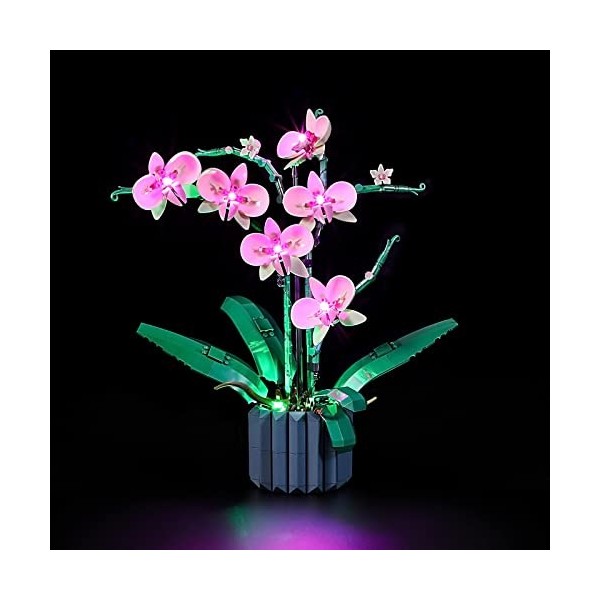 GEAMENT Jeu De Lumières Compatible avec Lego L’Orchidée Orchid - Kit Déclairage LED pour Creator 10311 Jeu Lego Non Inclu