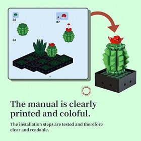 Ensemble de Construction Plantes Succulentes, Créez Un Mélange Succulent pour Votre Maison ou Votre Bureau, Cadeau pour Petit