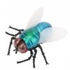 Télécommande Infrarouge Fly Toy Simulation Insect Fly Toy Realistic Animal Toy Kids Trick-Playing Toy Prop for Party Or