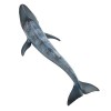 Modèle de Baleine Jouet Simulation Collection de Jouets Baleine Miniature Figurine Sauvage Océan Marin Créatures Animal Jouet