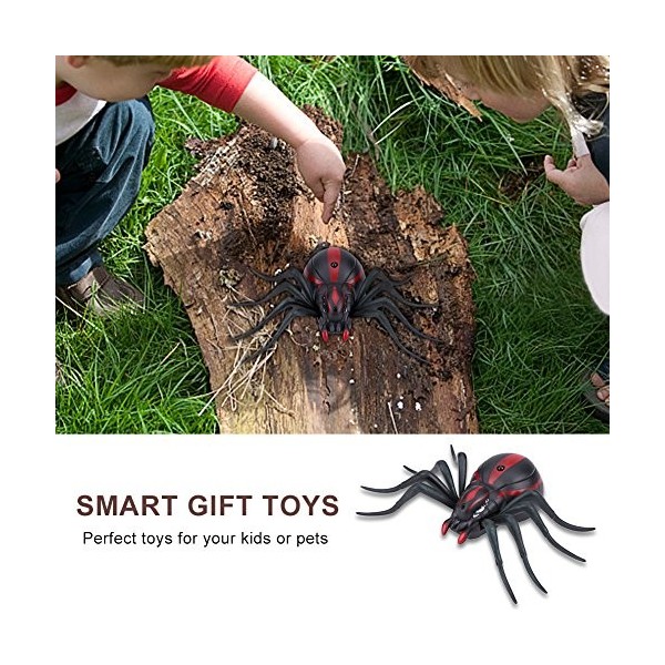 Dilwe Fourmis/Cafards/Araignées Infrarouge de Télécommande Animal Trick RC Jouet Enfants Cadeau araignée 