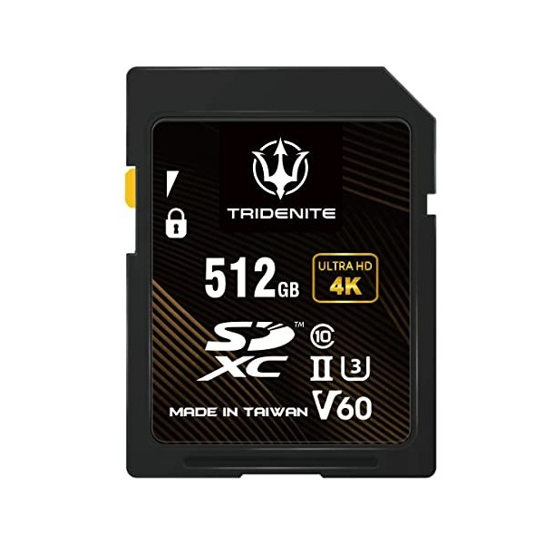 TRIDENITE Carte Micro SD 256 Go - Mémoire MicroSDXC pour Nintendo S