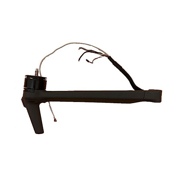 Pièces de rechange pour moteur à bras arrière droit pour DJI Mavic 3 Cine/Classic Drone Quadcopter Arm Motor Assemblée Pièces