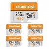 Gigastone Carte Mémoire 256 Go Lot de 5 Cartes, Compatible avec Gopro Drone Caméra Tablette Samsung Sony, Haute Vitesse pour 