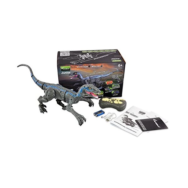 Amewi 40009 Robot télécommandé Dinosaure 2,4 GHz RTR, Gris