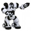 WowWee -8085 - Figurine - Mini Robot Articulé - RoboSapien